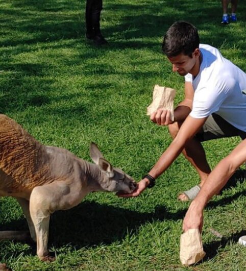 N. Džokovičius vėl sulaikytas prie&scaron; posėdį dėl deportacijos