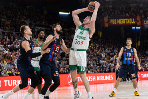 Žalgirieti&scaron;kas kalbų i&scaron;&scaron;ūkis: ką rei&scaron;kia &bdquo;pankūkas&ldquo; ir kodėl &bdquo;mėlynas&ldquo; suklaidino R.&Scaron;mitą?