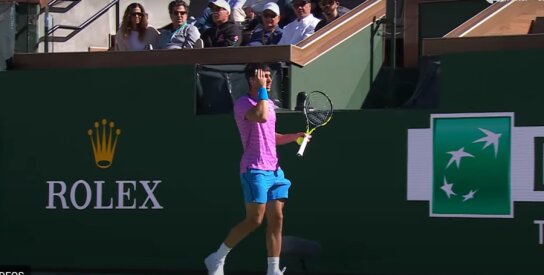 Indian Velse mačas tarp C. Alcarazo ir A. Zverevo buvo sustabdytas dėl bičių invazijos